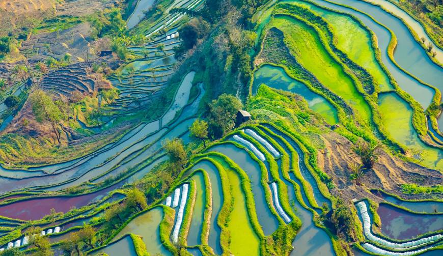 走进城西区TVC拍摄：解锁本地化场景与创意镜头的完美融合